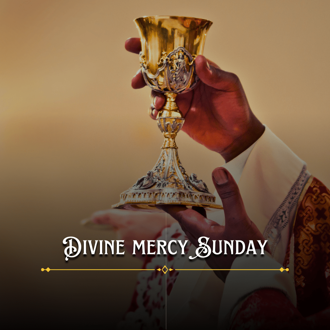 Divine mercy Sunday, Confessions, Holy Mass, Eucharistic Procession